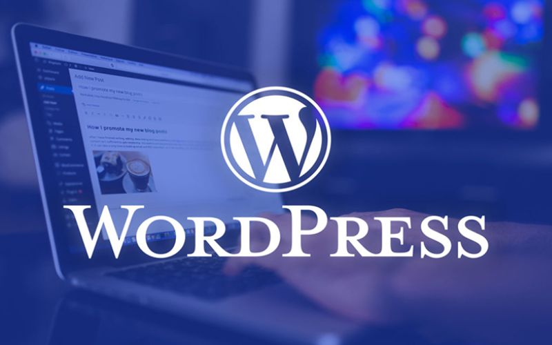 quản trị website wordpress - ảnh 1