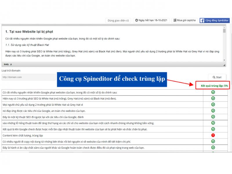 website bị google phạt- ảnh 7